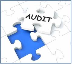 Importance of a fundraising audit